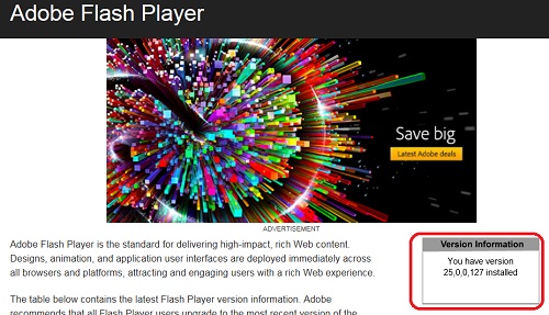 Internet Explorer 11  - Flash Player Enabled